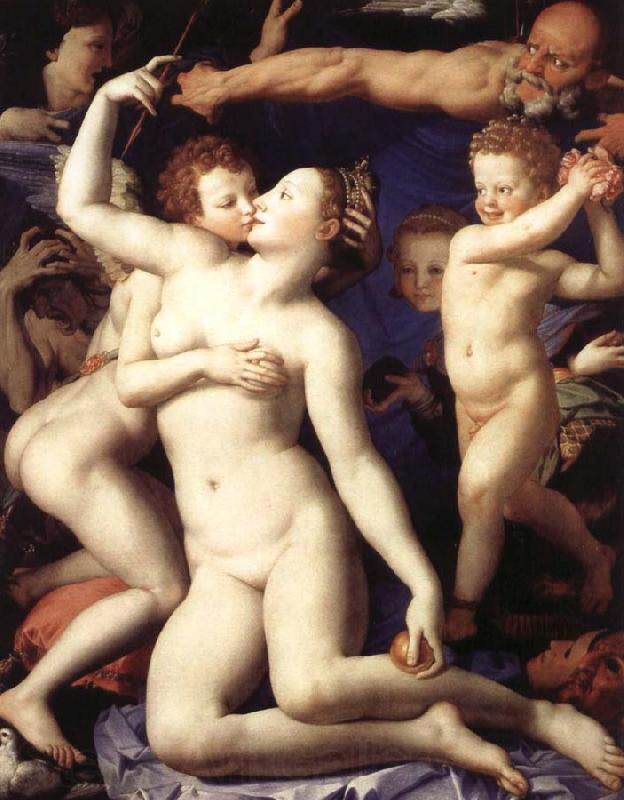 Agnolo Bronzino Venus and Cupid Spain oil painting art